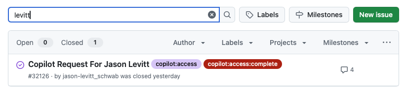 Searching For Your Copilot Access Request